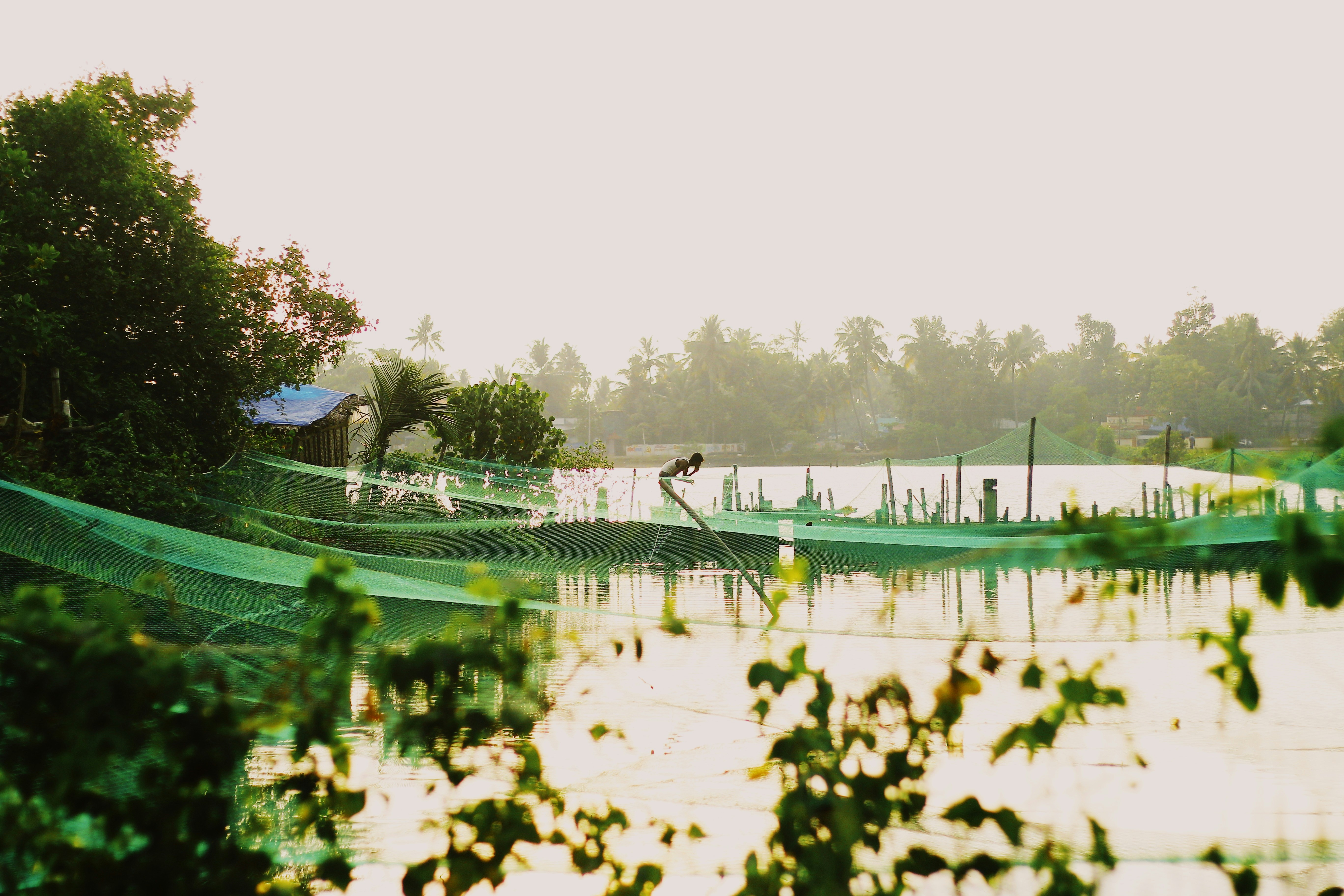 Fish farm operations